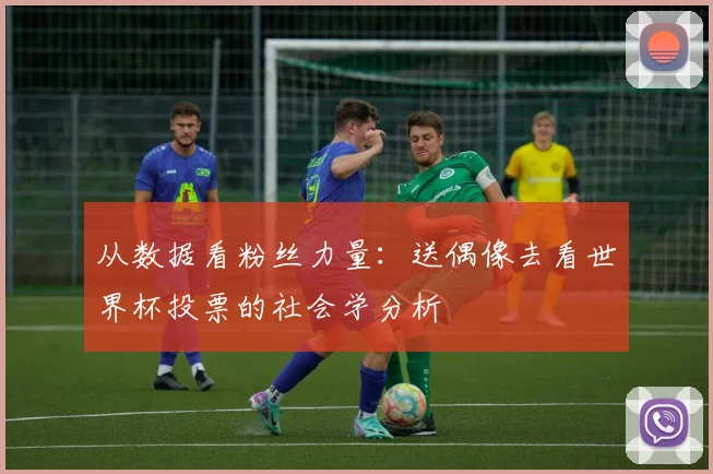 从数据看粉丝力量:送偶像去看世界杯投票的社会学分析