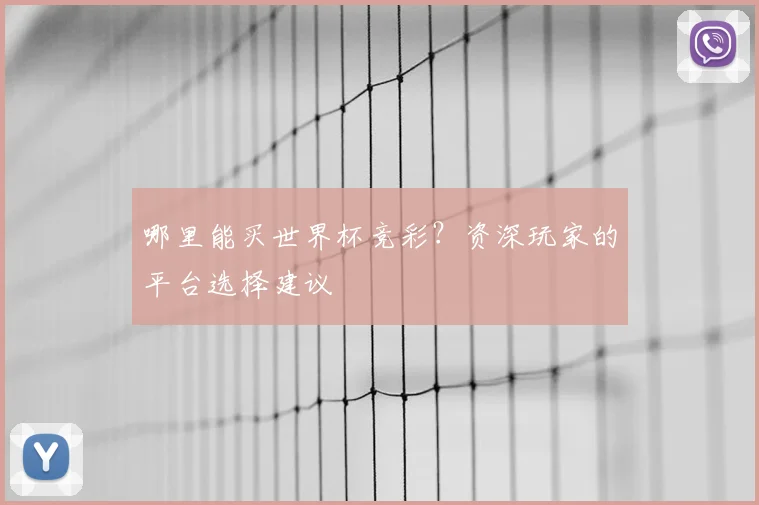 哪里能买世界杯竞彩?资深玩家的平台选择建议