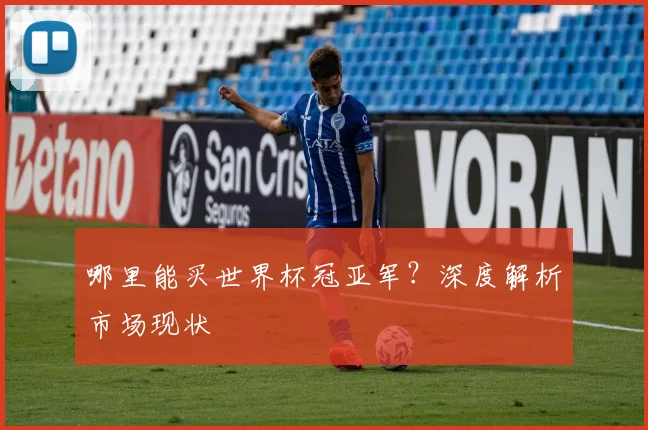 哪里能买世界杯冠亚军?深度解析市场现状
