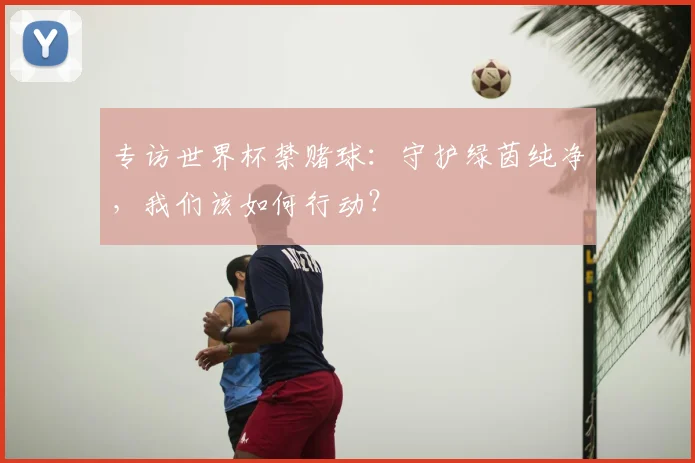 专访世界杯禁赌球:守护绿茵纯净,我们该如何行动?