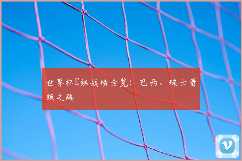 世界杯E组战绩全览:巴西、瑞士晋级之路