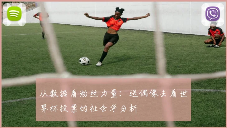 从数据看粉丝力量:送偶像去看世界杯投票的社会学分析