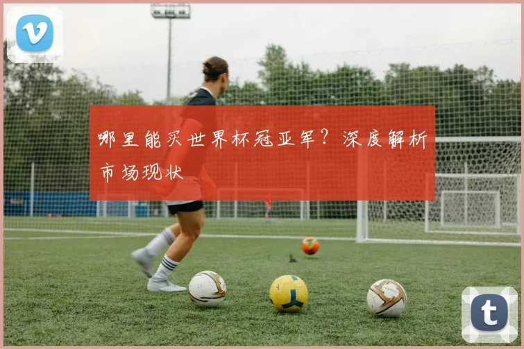 哪里能买世界杯冠亚军?深度解析市场现状
