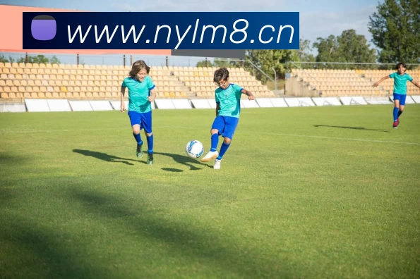 九游官网网页版首页平台生态图